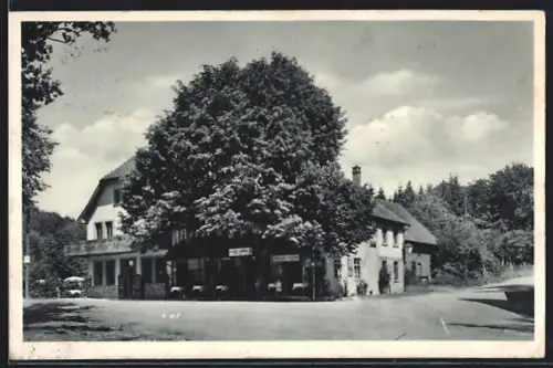 AK Blomberg / Lippe, Gasthaus Forsthaus