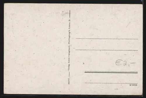 AK Pöstlingberg, Teilansicht mit Kirche, Gnadenbild