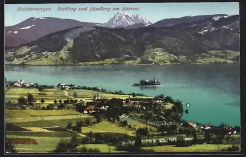 AK Seewalchen am Attersee, Buchberg mit Blick nach Litzelberg