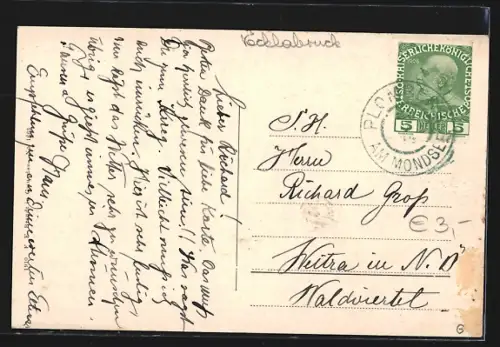 AK Plomberg am Mondsee, Ortsansicht mit der Drachenwand