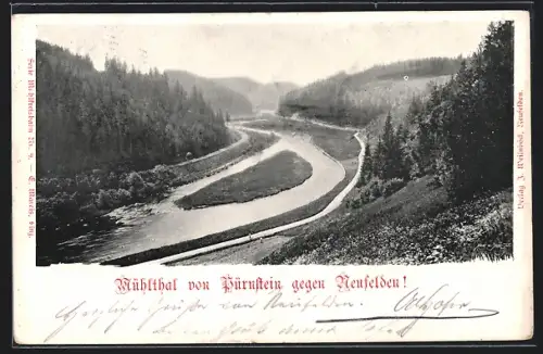 AK Neufelden, Mühlthal von Dürnstein gegen Neufelden