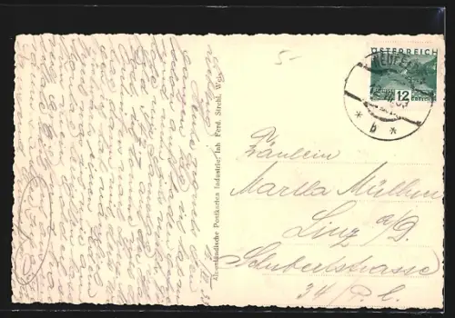 AK Neufelden /O.-Ö., Burg Purnstein mit Flusspartie aus der Vogelschau