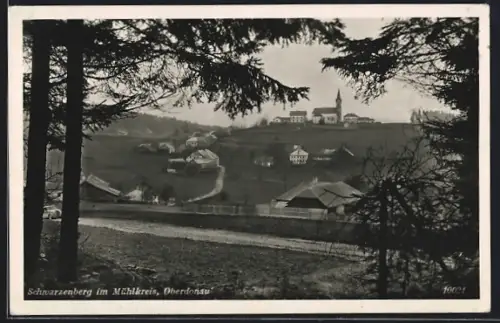 AK Schwarzenberg i. Mühlkreis, Ortsansicht