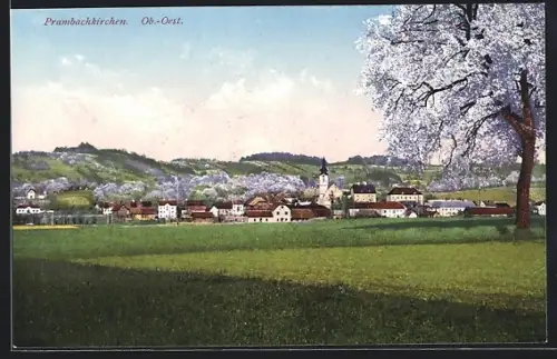 AK Prambachkirchen /O.-Ö., Ortsansicht mit blühenden Bäumen