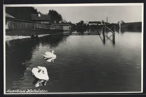 AK Franking /O.-Oe., Moorbad Holzöster