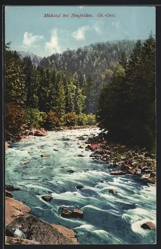 AK Neufelden, Mühltal, Stromschnellen zwischen den Bäumen