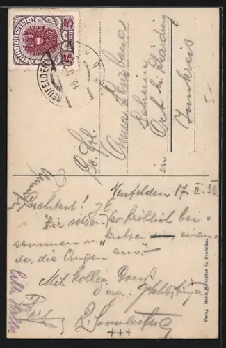 AK Neufelden, Mühltal, Stromschnellen zwischen den Bäumen