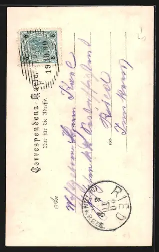 AK Neustift im Mühlkreis, Rannariedl a. d. Donau, Blick zum Schloss