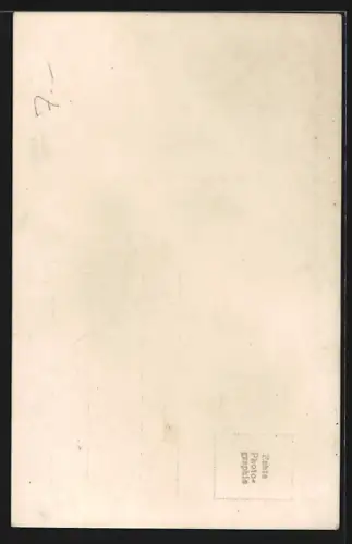 AK Rohrbach /O.-Oe., Teilansicht mit Kirche