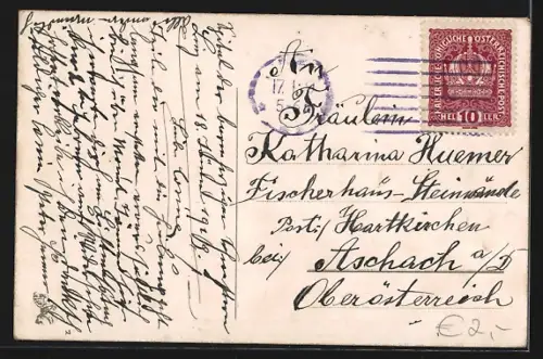 AK Linz a. d. D., Teilansicht mit Kirche vom Bauernberg aus