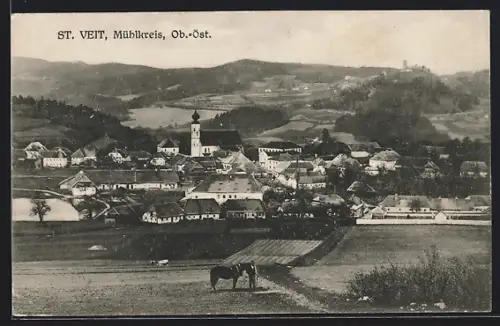 AK St. Veit /Mühlkreis, Gesamtansicht mit Fernblick, mit Bauer u. Pferd