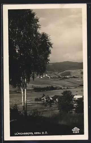 AK Ulrichsberg, Panorama