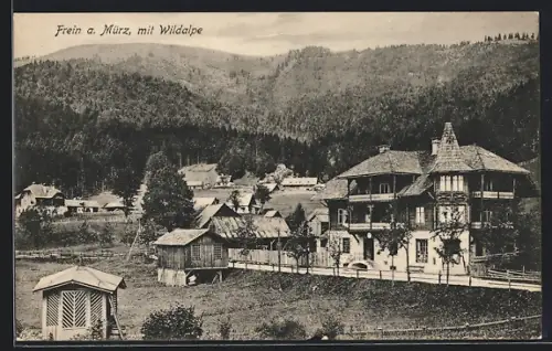AK Frein a. Mürz, Teilansicht mit Wildalpe
