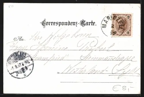 Lithographie Maria Zell, Ortsansicht aus der Vogelschau, Heiliger Brunnen