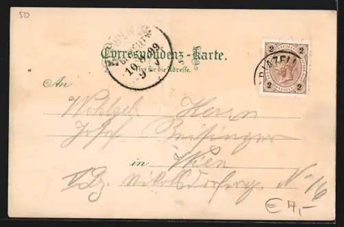 Lithographie Mariazell, Sigmundsberg, Gnadenmutter, Ortsansicht