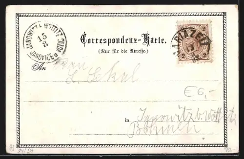 Lithographie Mariazell, Ortsansicht, Prozessionszug, Gnaden-Mutter