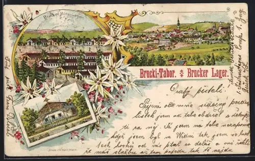 Lithographie Bruck a. d. L., Brucker Lager, Gebäudeansicht, Ortsansicht, Edelweiss