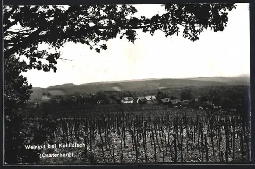 AK Kohfidisch /Csaterberg, Weingut mit Blick auf den Ort