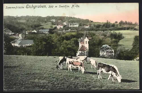 AK Eichgraben /N.-Oe., Panorama mit Kirche und Kühen