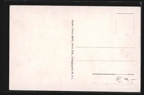 AK Grabern /N.-Oe., Schöngrabern bei Hollabrunn, Kirche, Turm, Strassenpartie