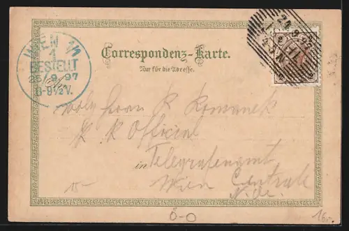 Lithographie Bad Ischl, Hotel Austria, Ortsansicht mit Kaiservilla