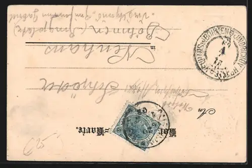 Passepartout-Lithographie Linz a.d. Donau, Franz Josef Platz, Wappen