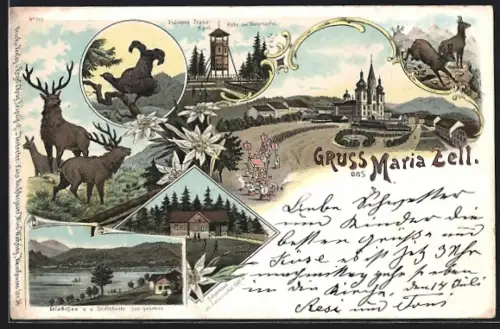 Lithographie Mariazell, Erzherzog Franz-Karl, Höhe am Bürgerapfel, Hirsche, Erlafsee v. d. Stiftshütte aus, Schutzhaus