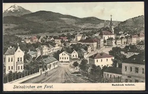 AK Steinakirchen am Forst, Teilansicht mit Kirche