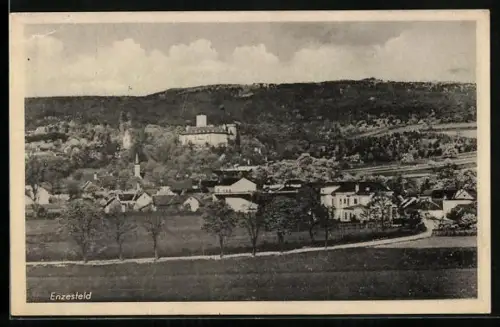 AK Enzesfeld, Ortsansicht mit Landstrasse