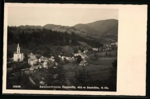 AK Opponitz /N.-Oe., Ortsansicht mit Bergpanorama