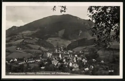 AK Ybbsitz /Niederdonau, Ortsansicht mit Prochenberg