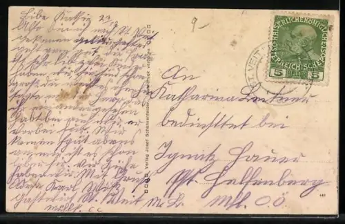 AK St. Veit /Mühlkreis, Ortsansicht mit Ruine Waxenberg