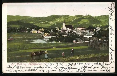 AK St. Veit /Mühlkreis, Totalansicht mit Teich u. Umgebung