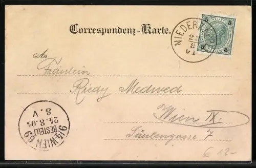 AK Niederkappel, Ortsansicht über Nadelbäume hinweg