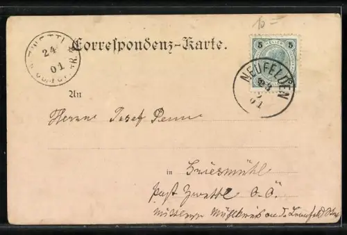 AK Neufelden an der Mühlkreisbahn, Totalansicht mit Strasse von einer Anhöhe aus