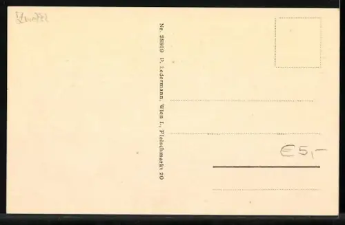 AK Rappottenstein /N.-Oe., Teilansicht mit Kirche