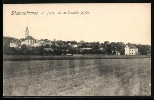AK Steinakirchen am Forst, Teilansicht mit Kirche