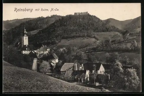 AK Reinsberg /N.-Oe., Ortspartie mit Ruine