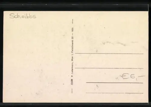 AK Reinsberg /N.-Oe., Ortspartie mit Ruine