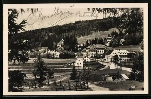 AK Mönichkirchen /N. Oe., Ortspartie mit Bäumen