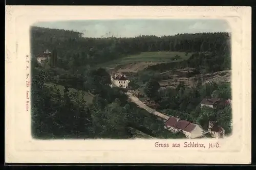 AK Walpersbach /N.-Ö., Schleinz mit Strasse