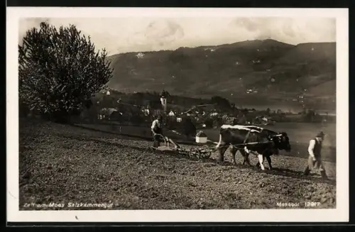 AK Zell am Moos, Ortsansicht mit Kirche, im Vordergrund Bauern mit Pflug