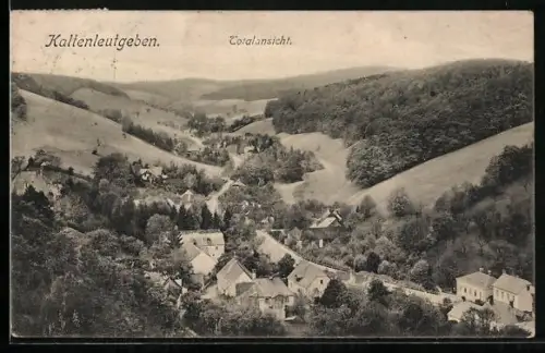 AK Kaltenleutgeben, Totalansicht vom Berghang aus