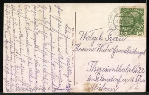 AK Wieselburg a. d. Erlauf, Ortsansicht mit Strassenpartie