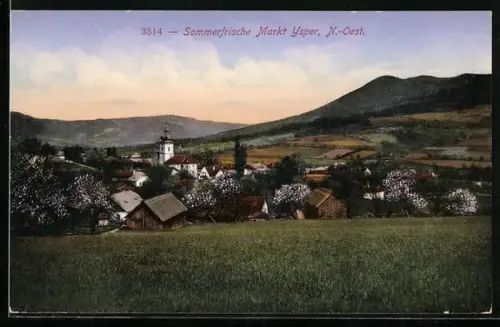 AK Ysper, Totalansicht aus der Vogelschau