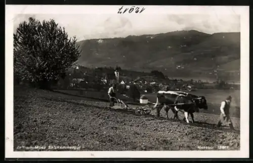 AK Zell am Moos, Ortsansicht vom Feld aus, im Vordergrund pflügende Bauern