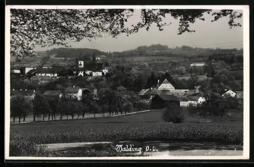 AK Walding /O. Ö., Ortspanorama mit Blick zur Kirche