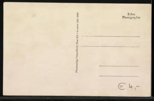 AK Pabneukirchen /O. Oe., Ortsansicht mit Kirche