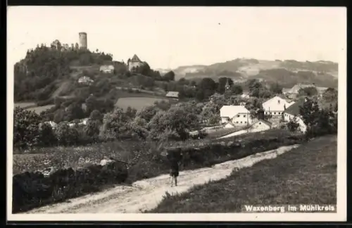 AK Waxenberg /Mühlviertel, Ortsansicht mit Burgruine