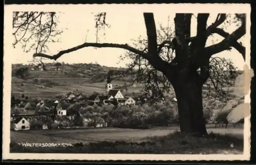 AK Bad Waltersdorf /Steiermark, Ortsansicht vom Ortsrand aus